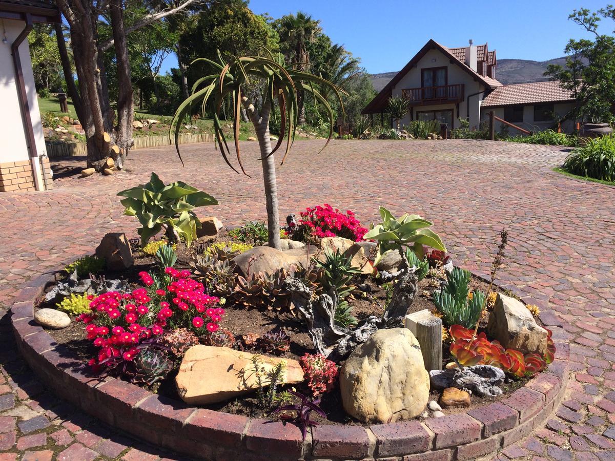 Fish Eagle Lodge Knysna Exterior foto